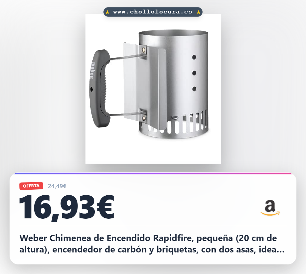 Weber Chimenea de Encendido Rapidfire, pequeña (20 cm de altura), encendedor de carbón y briquetas, con dos asas, ideal para barbacoas de carbón de al menos Ø 47cm - Plata (7447)