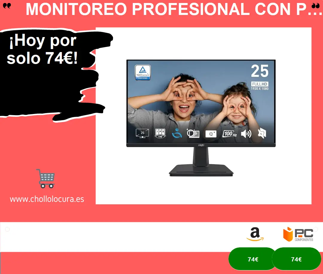 Monitoreo Profesional con Pantalla IPS 24.5'' FHD