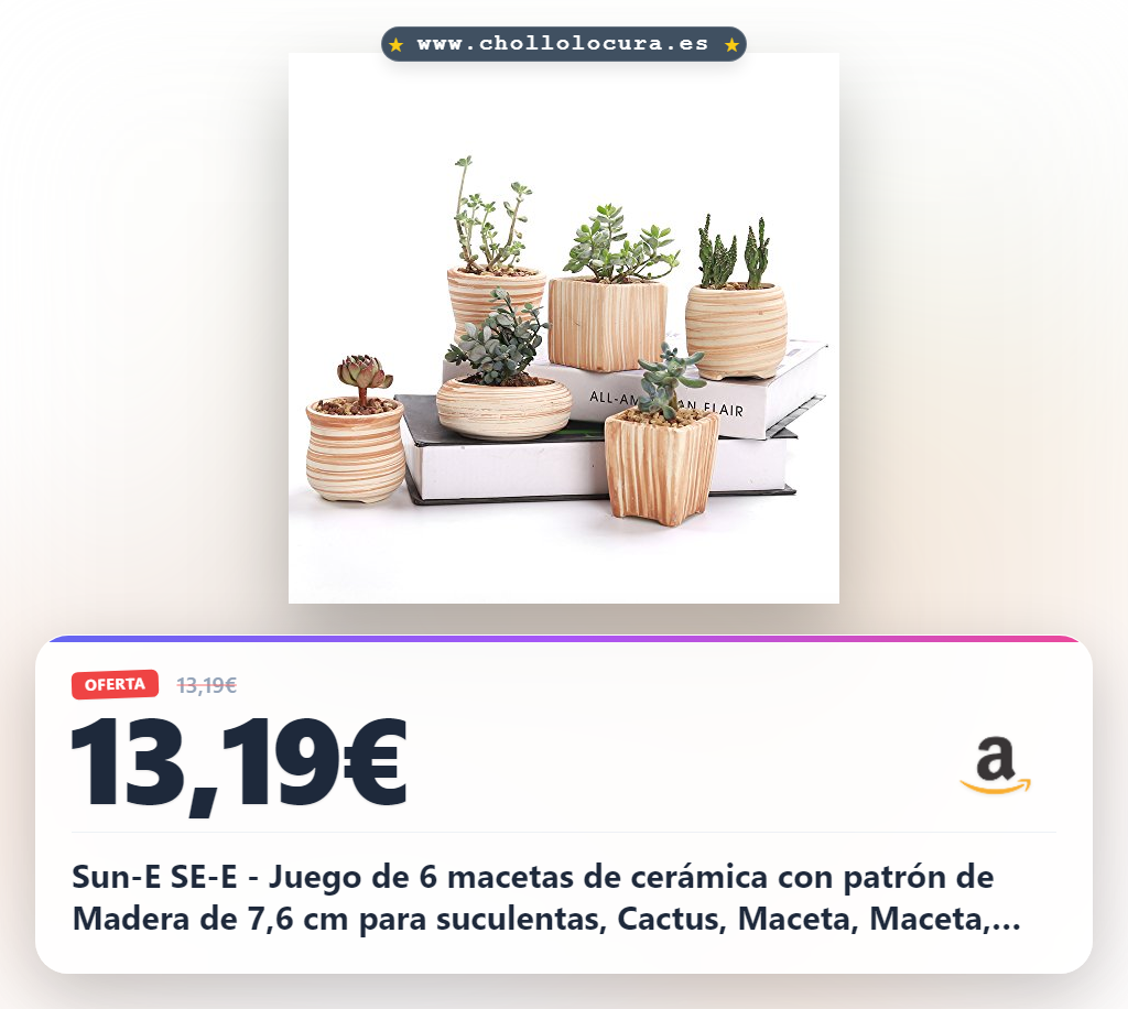 Sun-E SE-E - Juego de 6 macetas de cerámica con patrón de Madera de 7,6 cm para suculentas, Cactus, Maceta, Maceta, Maceta, Maceta para Regalo, Idea de Regalo