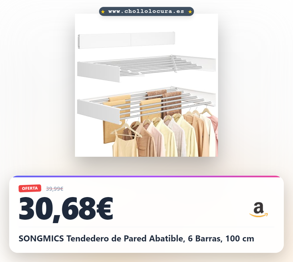SONGMICS Tendedero de Pared Abatible, 6 Barras, 100 cm