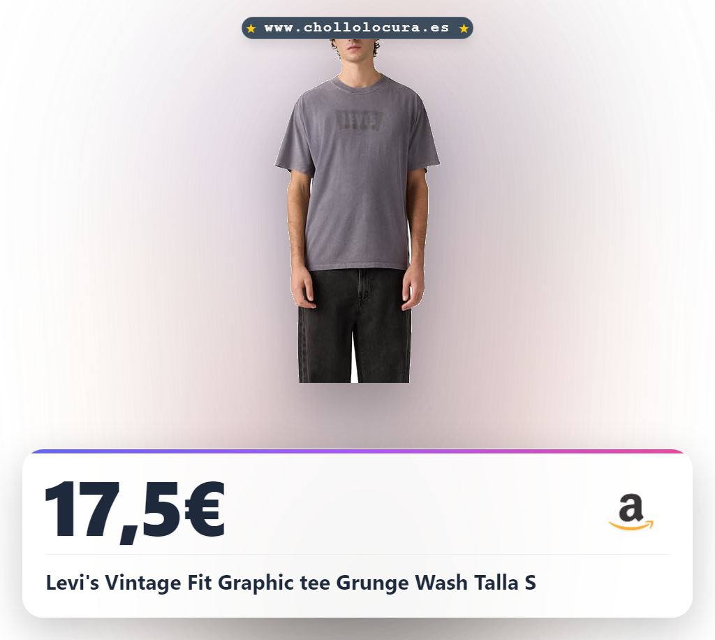 Levi's Vintage Fit Graphic tee Grunge Wash Talla S